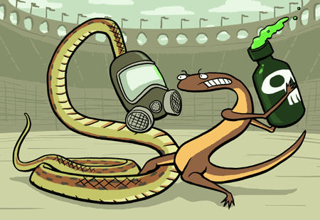 Battling newts and snakes