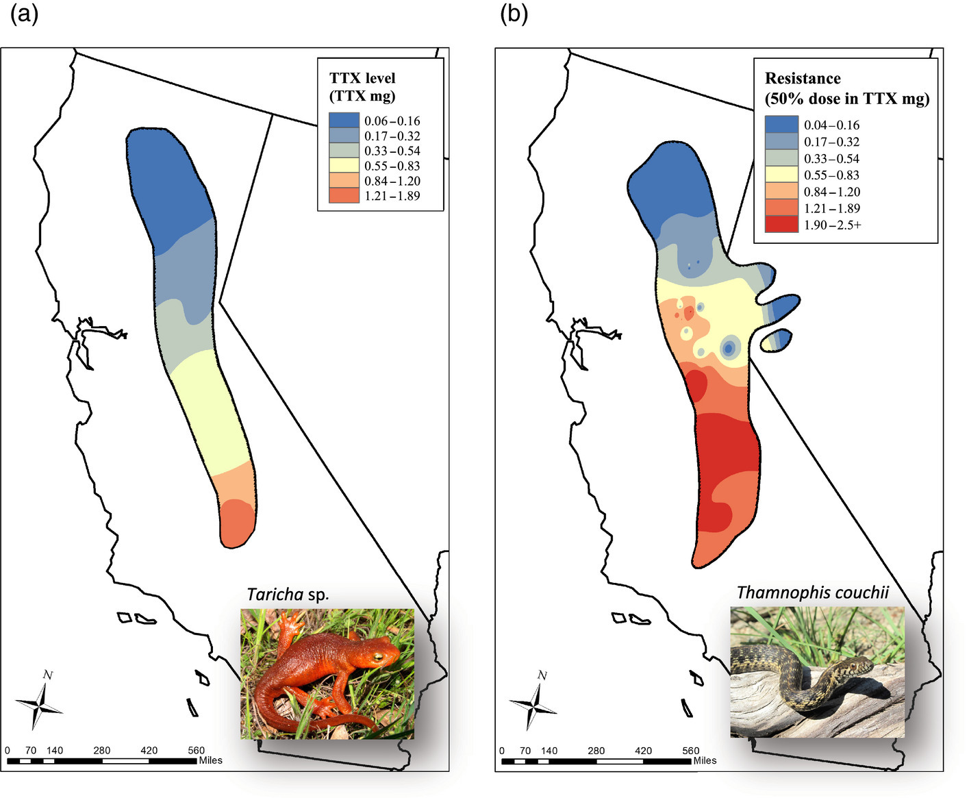 Fig 1 from Reimche et al 2020