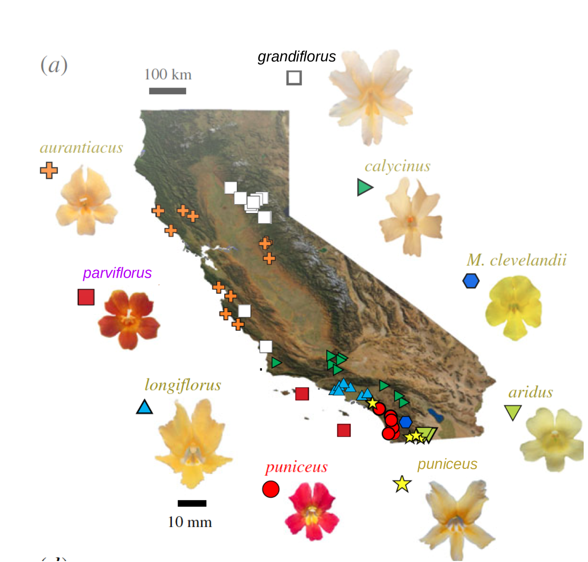 map of mimulus