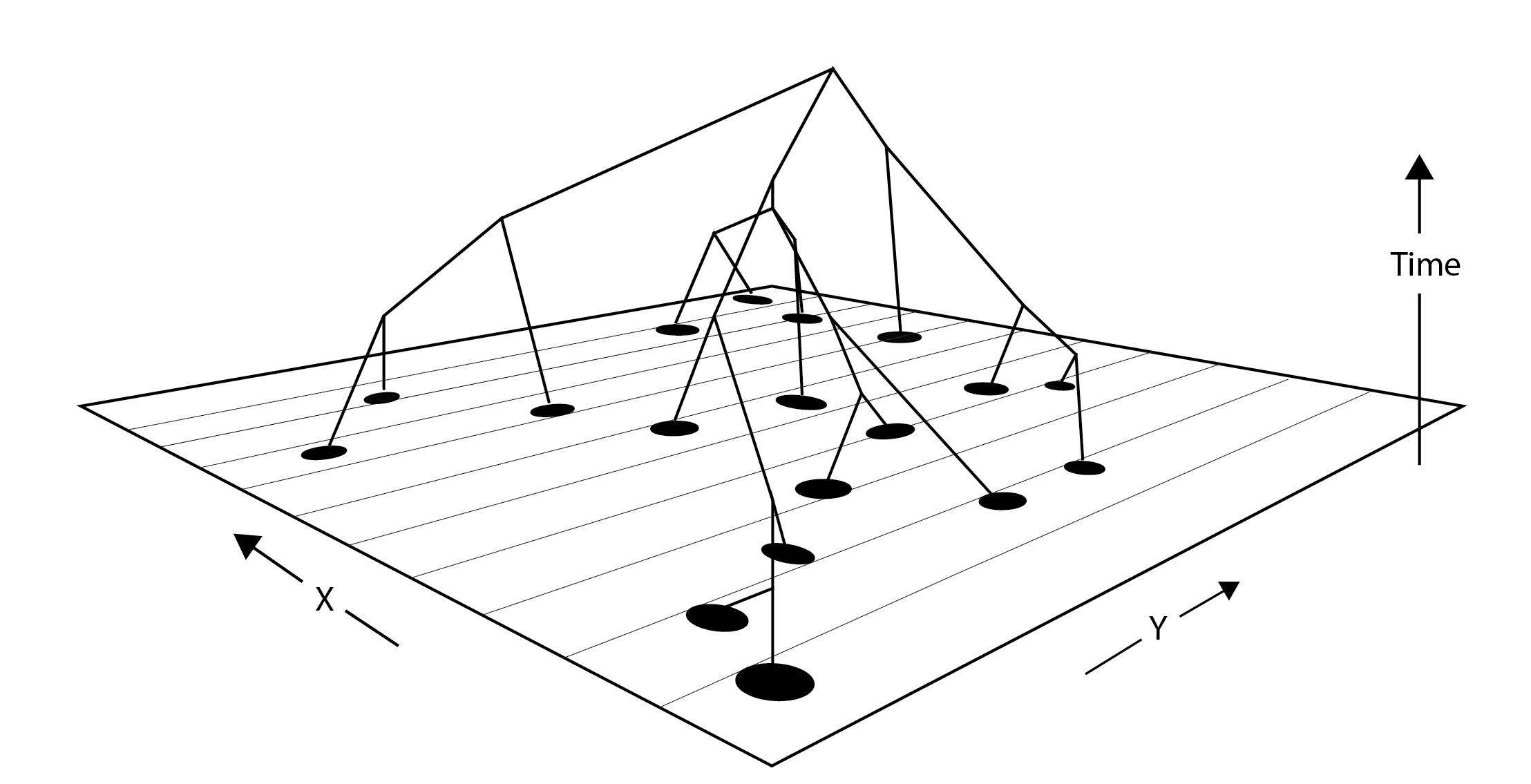 trees in space, by CJ Battey