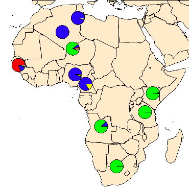 sickle-cell HbS allele map, from Flint et al 1998