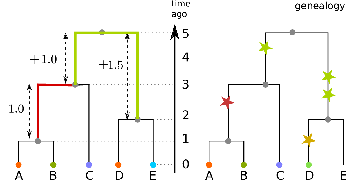 site and branch stats